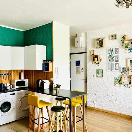 Apartment Ravissant T2 Proche Centre-ville Et Jard