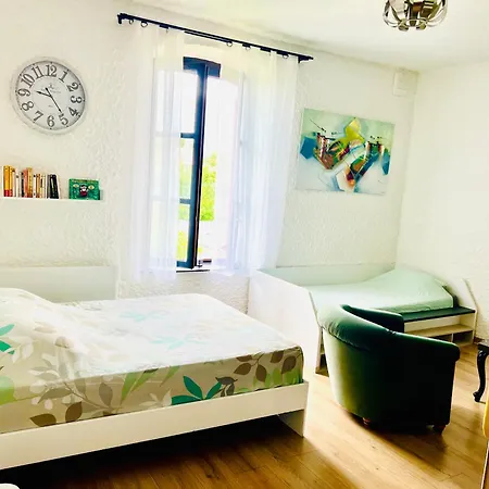 Apartment Ravissant T2 Proche Centre-ville Et Jard *